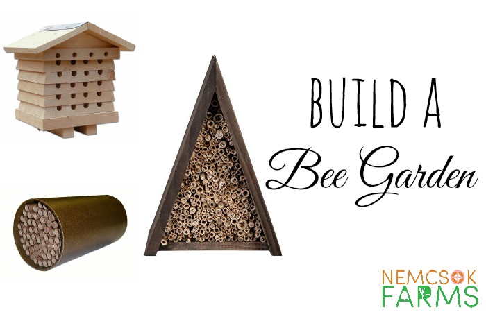 How to Build a Bee Garden with bee friendly food and shelter