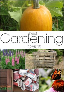 Best Gardening Ideas from Seed Starting and a Composter, to Butterfly Gardens and Vegetables
