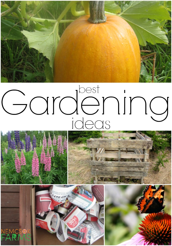 Best Gardening Ideas - Nemcsok Farms