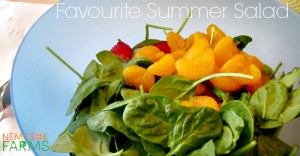 Summer Salad Recipe that is easy to make, and I mean really easy to make. It also happens to be quite tasty.