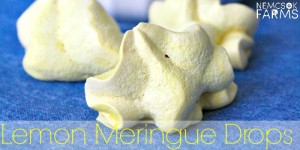 Light and Lemony Melt in Your Mouth Lemon Meringue Drop Recipe