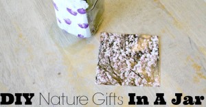 DIY Nature Gifts in A Jar - the perfect Mohter's Day, Father's Day, Teacher's Appreciation Day, or Any Occasion Gift Made with Upcycled Materials and Things Found in Nature