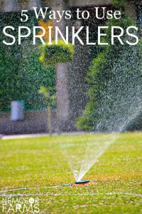 Best Ways to Use Sprinklers in your yard and garden from irrigation to enjoyment to protection