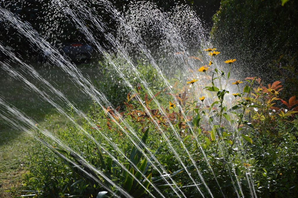 Best Ways to Use Sprinklers in your yard and garden from irrigation to enjoyment to protection