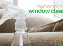 Homemade Glass Cleaner for a Greener, Cleaner Home