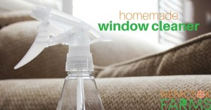 Homemade Glass Cleaner for a Greener, Cleaner Home