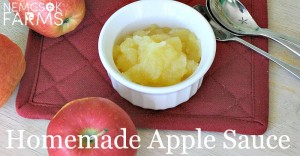Homemade Apple Sauce Recipe for a quick and easy and healthy totally doable snack