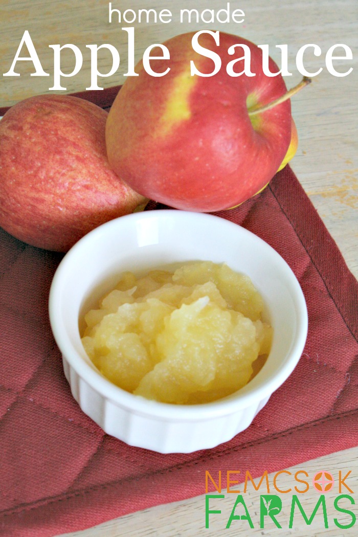 Homemade Apple Sauce Recipe for a quick and easy and healthy totally doable snack