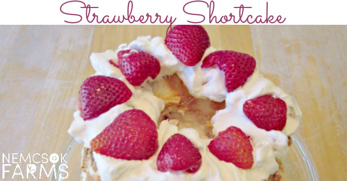Homemade Strawberry Shortcake a showstopper dessert that is really really easy to make, but has a huge wow factor!