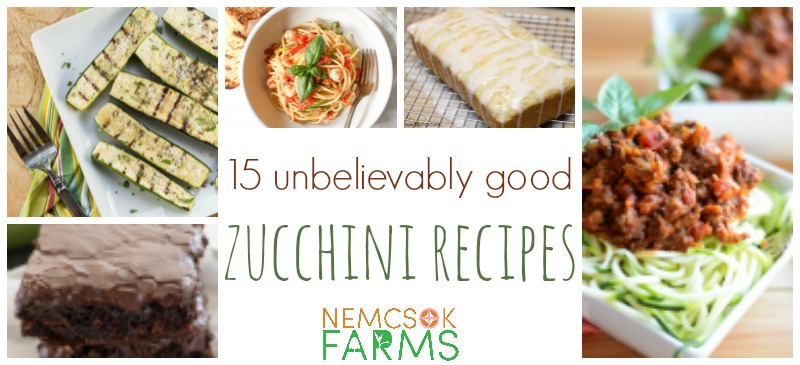 15 Unbelievable Zucchini Recipes sure to please everyone at your table!