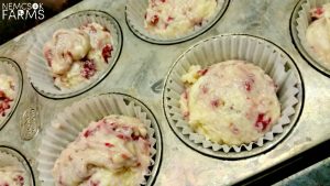 Raspberry Muffins made with vanilla sugar perfect for breakfast and snacking.