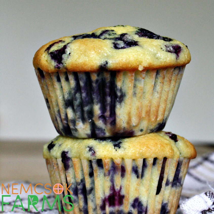 Homemade Lemon Blueberry Muffins Recipe perfect for breakfast on the go, and even better if you can use fresh berries. Don't fret however, frozen berries will do!