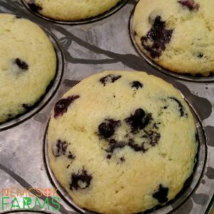 Homemade Lemon Blueberry Muffins Recipe perfect for breakfast on the go, and even better if you can use fresh berries. Don't fret however, frozen berries will do!