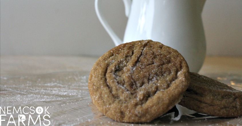 Homemade Gingersnap Cookie Recipe post thumbnail image