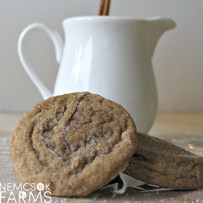 Homemade Gingersnap Cookie Recipe - a soft nostalgic favourite homemade cookie perfect for fall