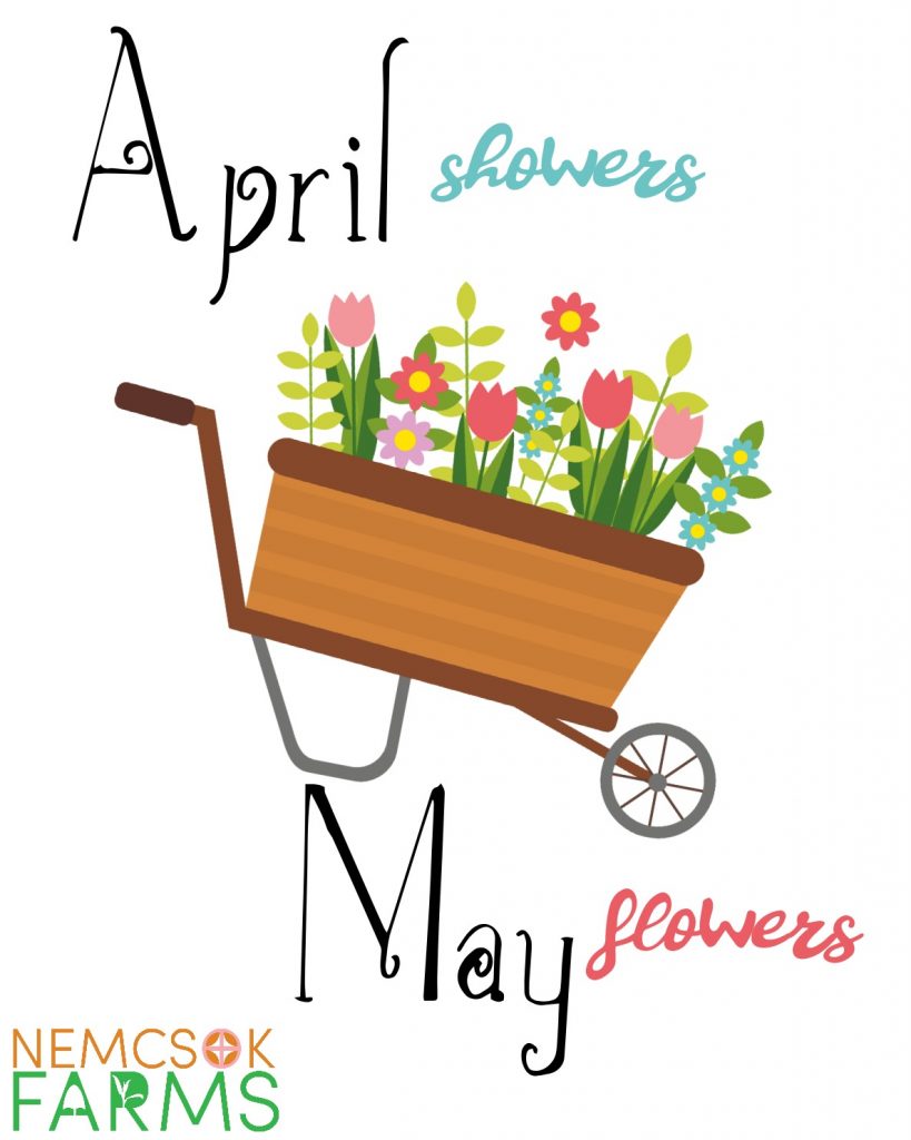 April Showers Printable Wall Art. Easy DIY farmhouse style decor, perfect for framing and for gifting