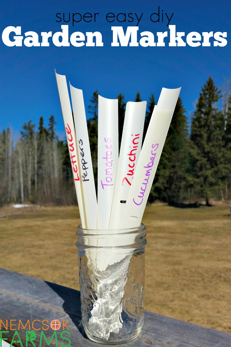 Incredibly smart, super easy DIY garden markers made with an upcycle that you are going to feel great about! And brilliant!