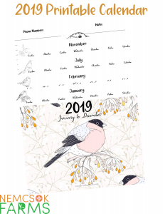 Printable 2019 Bird Sketch Calendar from January to December complete with an extra page for notes and phone numbers.