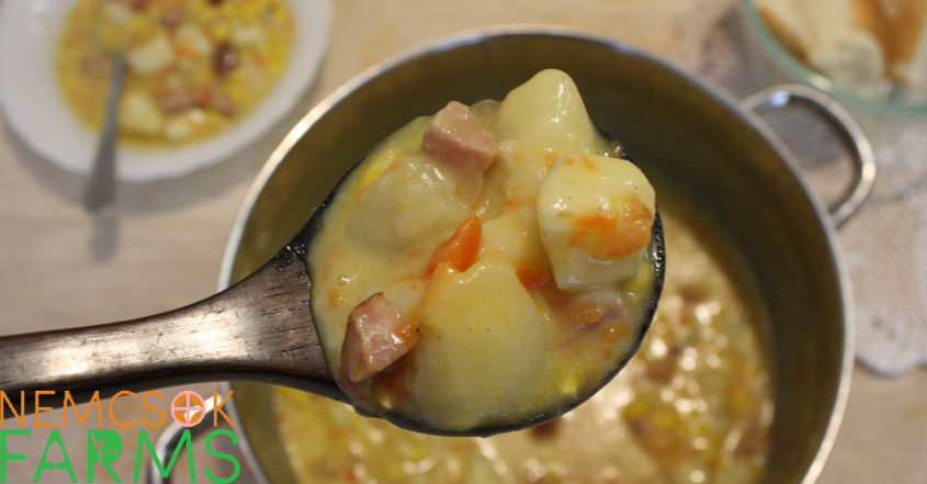 Ham and Potato Chowder Recipe The Perfect Wintery Comfort Food