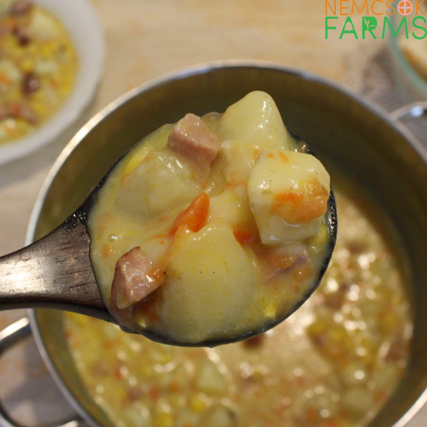 Ham and Potato Chowder Recipe The Perfect Wintery Comfort Food