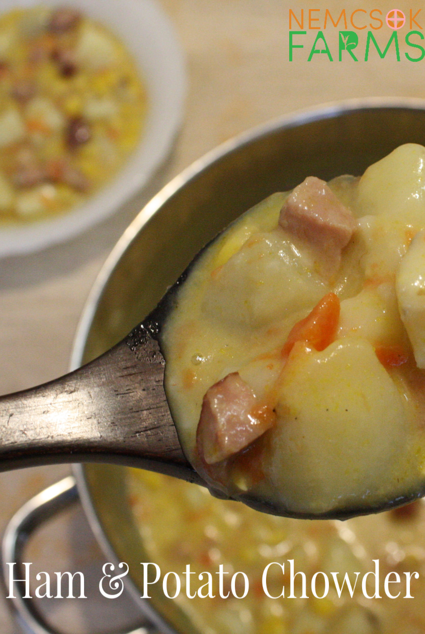 Ham and Potato Chowder Recipe The Perfect Wintery Comfort Food