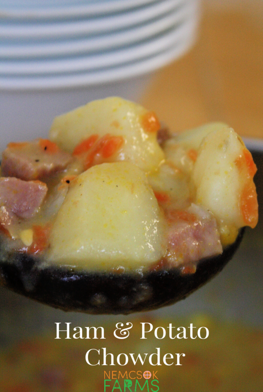 Ham and Potato Chowder Recipe The Perfect Wintery Comfort Food