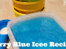 Berry Blue Icee Free Frozen Treat Recipe & Fabulous Frozen Treats