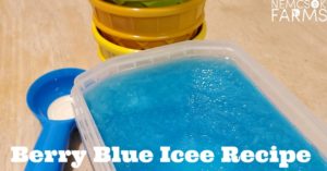 Berry Blue Icee Free Frozen Treat Recipe & Fabulous Frozen Treats
