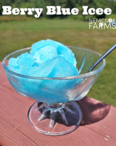 Berry Blue Icee Free Frozen Treat Recipe & Fabulous Frozen Treats