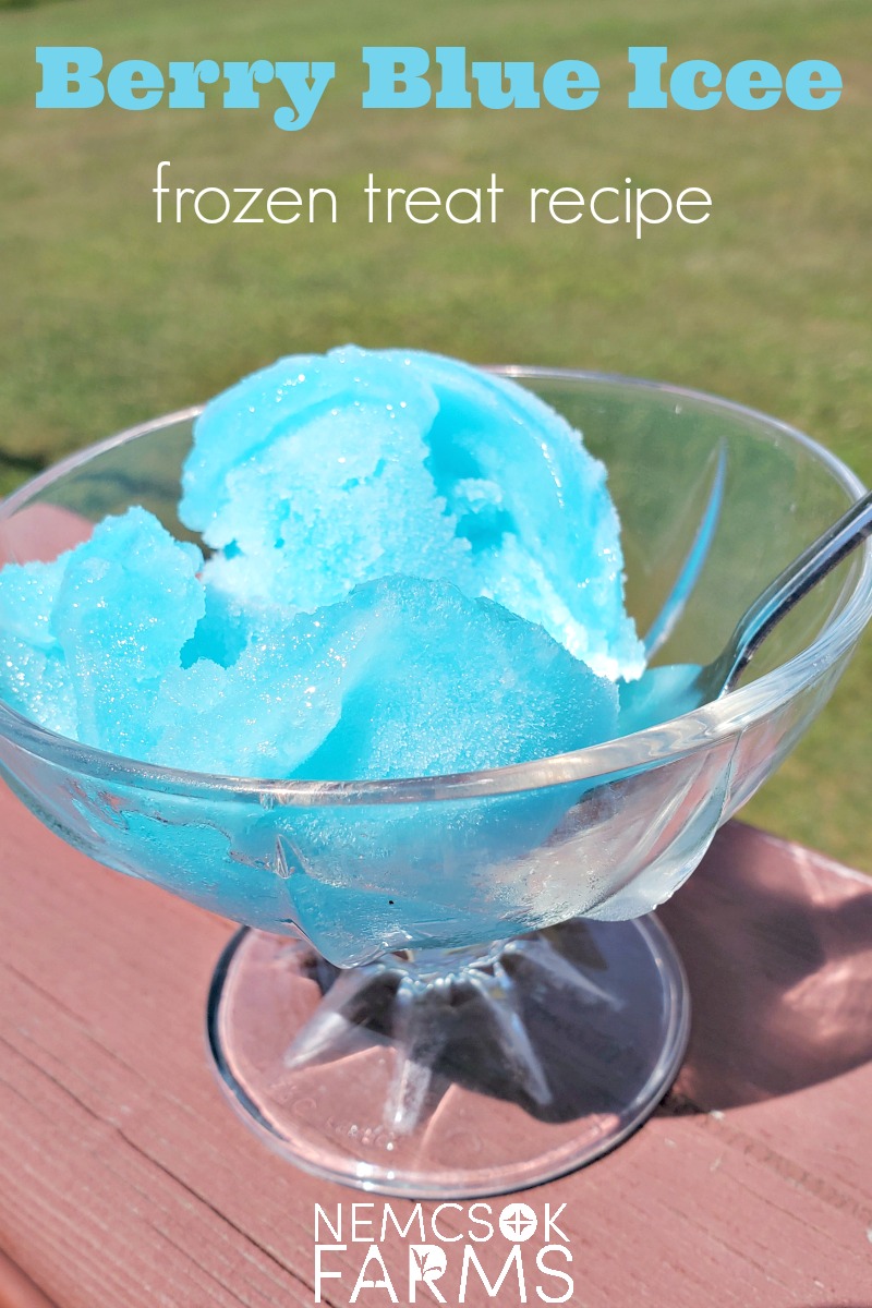 Berry Blue Icee Free Frozen Treat Recipe
