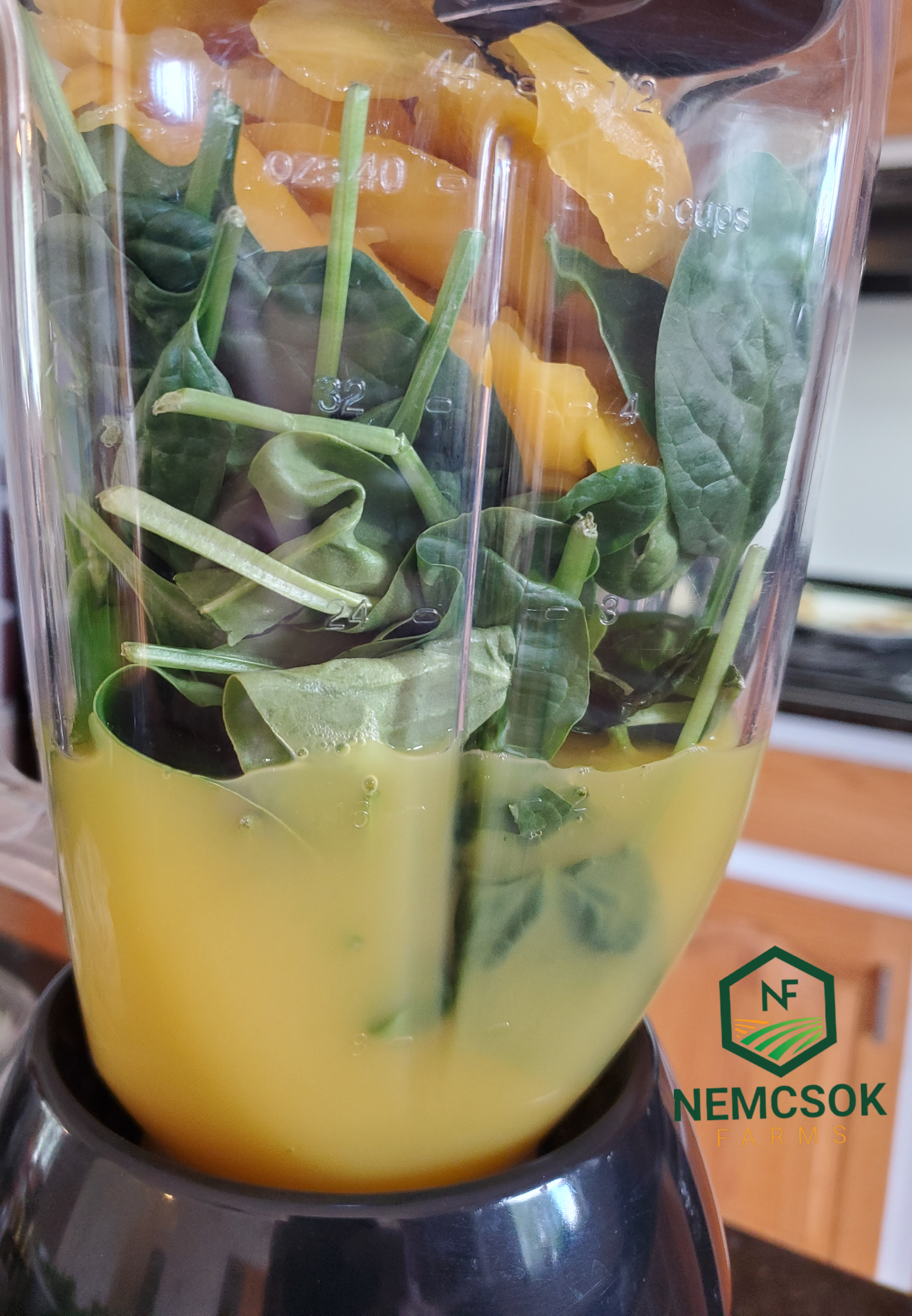 Creamsicle Smoothy Recipe made with fresh spinach that tastes like a creamsicle , but is loaded with healthy goodness 