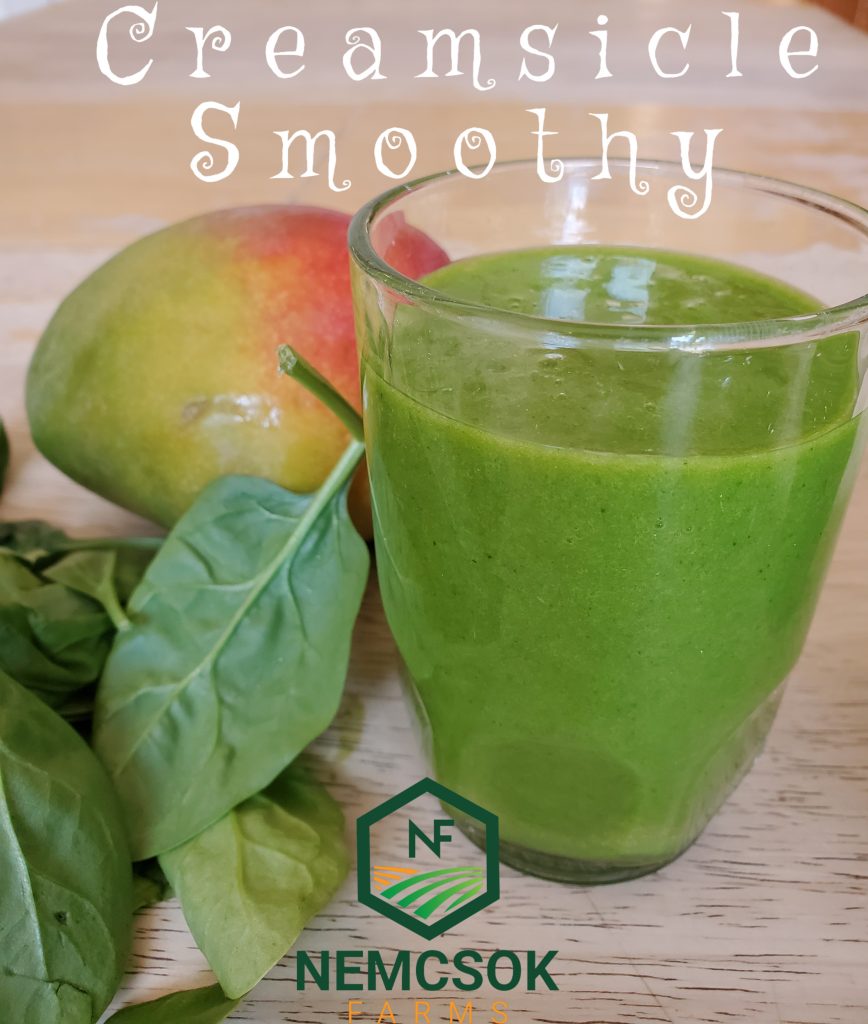Creamsicle Smoothy Recipe
