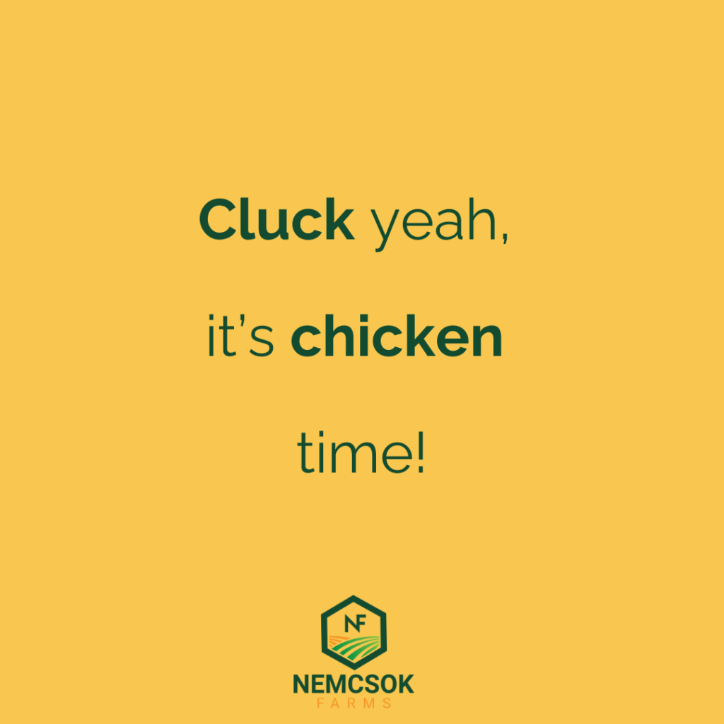 chicken quotes for instagram