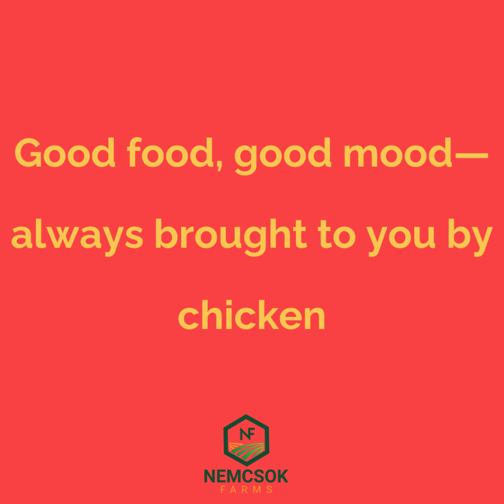 chicken quotes for instagram