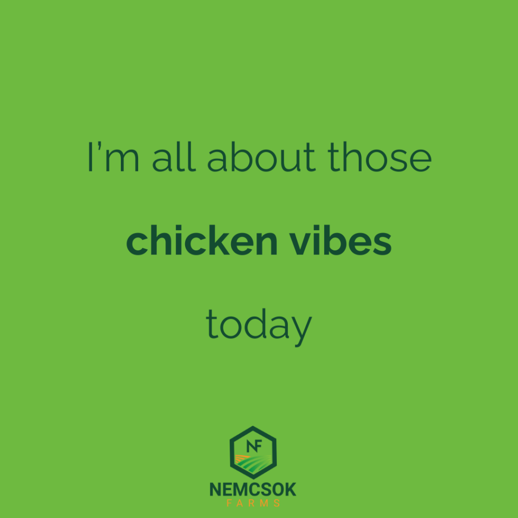 chicken quotes for instagram