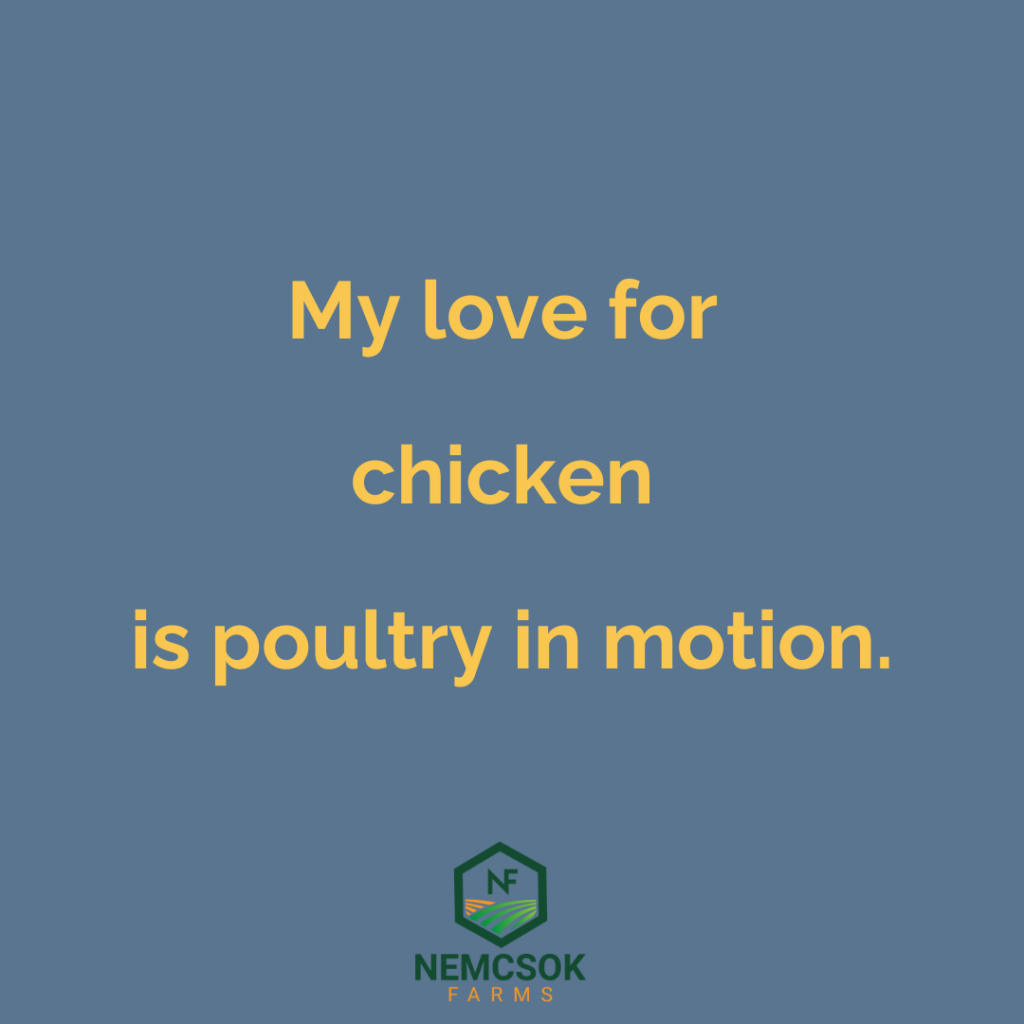 chicken quotes for instagram