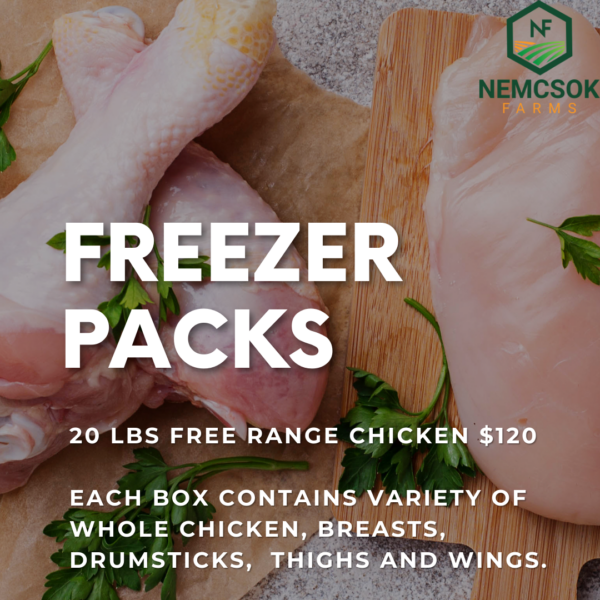 Chicken Freezer Packs