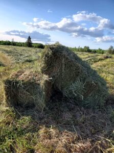 Seasonal farm products from Nemcsok Farms in Northern Ontario, including live willow stakes and hay.